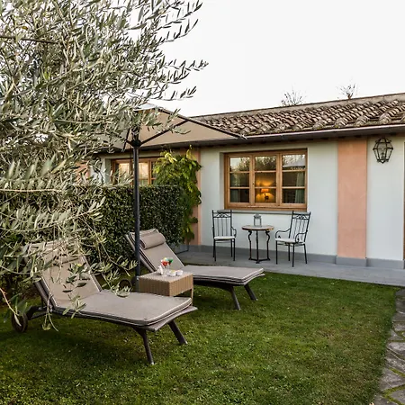 Olmi Firenze
